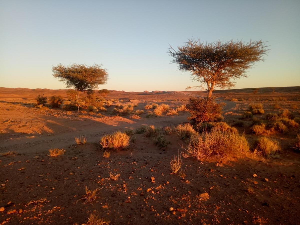 Sahara Peace Camp Hotel Zagora Ngoại thất bức ảnh
