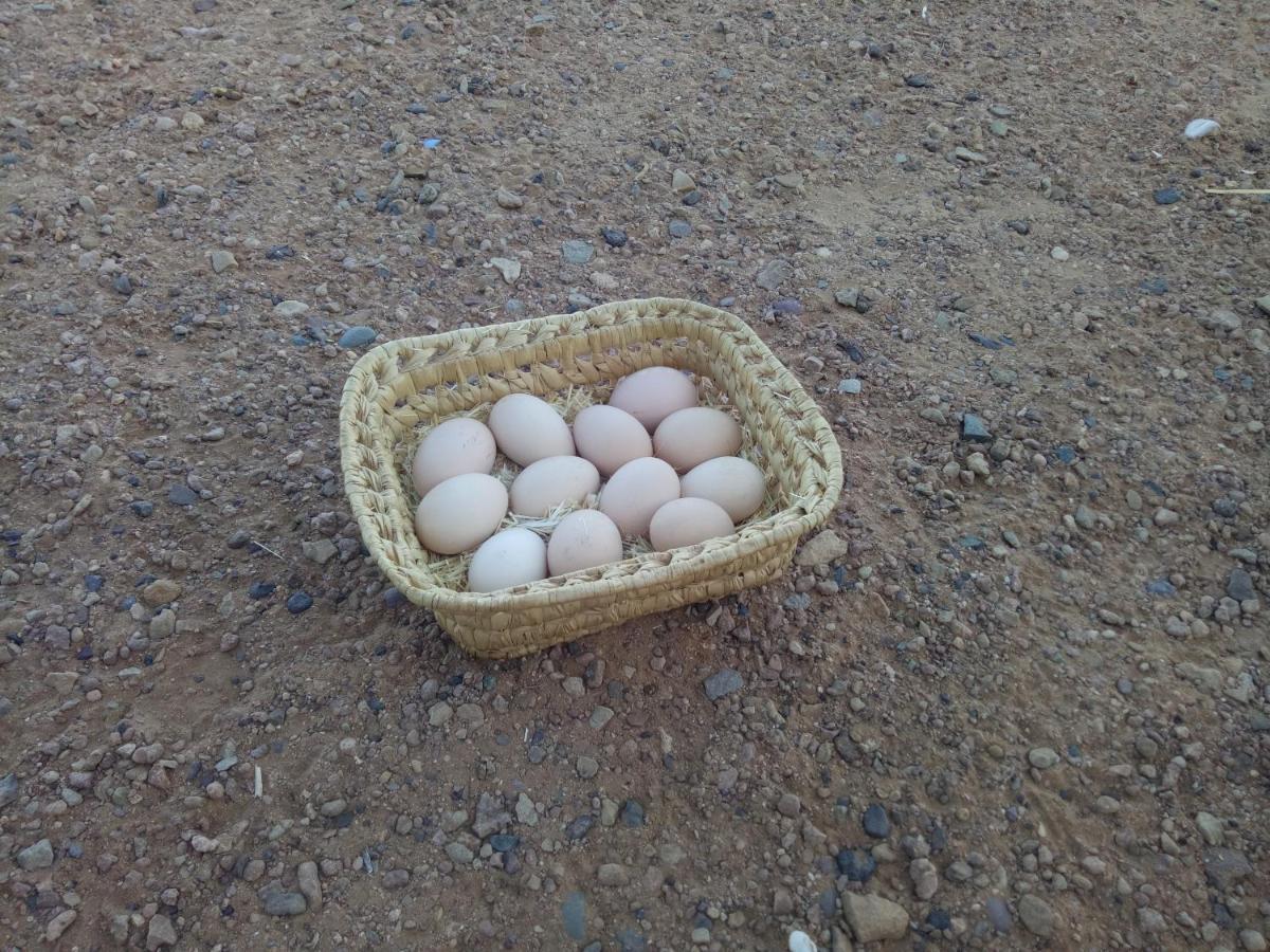 Sahara Peace Camp Hotel Zagora Ngoại thất bức ảnh