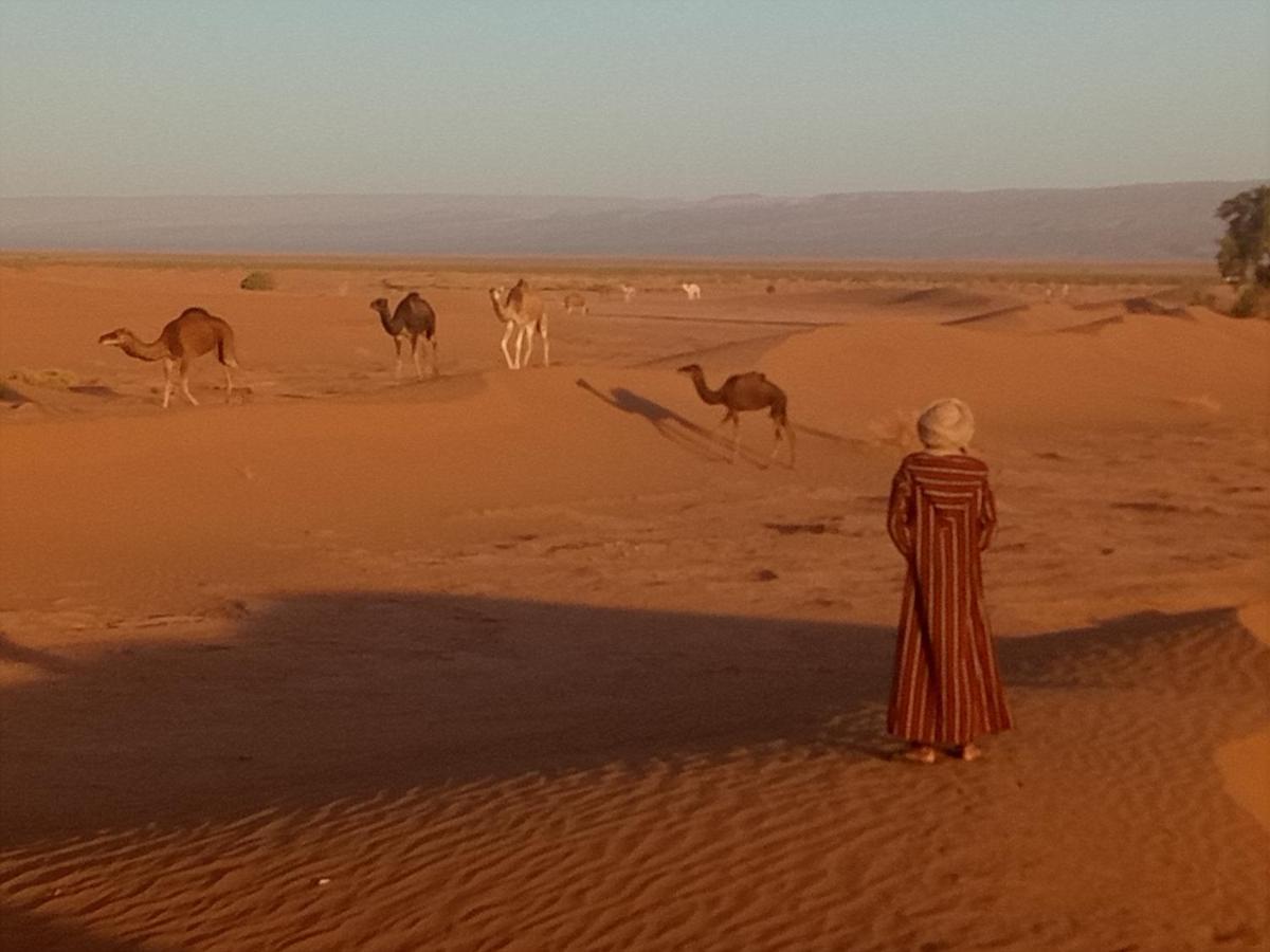 Sahara Peace Camp Hotel Zagora Ngoại thất bức ảnh