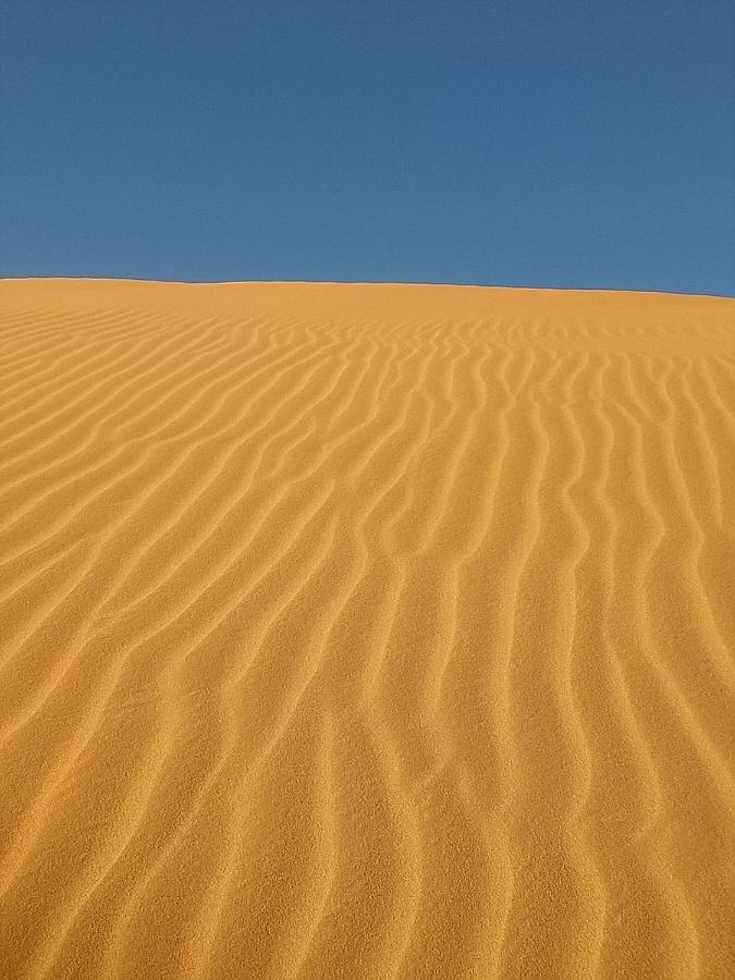 Sahara Peace Camp Hotel Zagora Ngoại thất bức ảnh