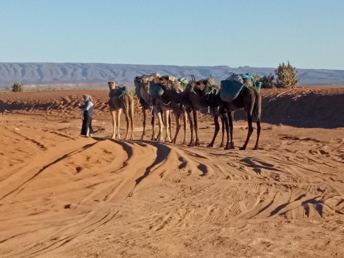 Sahara Peace Camp Hotel Zagora Ngoại thất bức ảnh