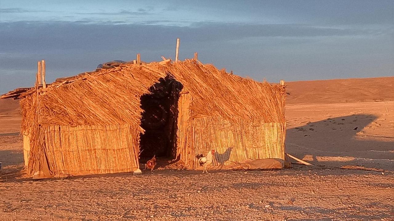 Sahara Peace Camp Hotel Zagora Ngoại thất bức ảnh