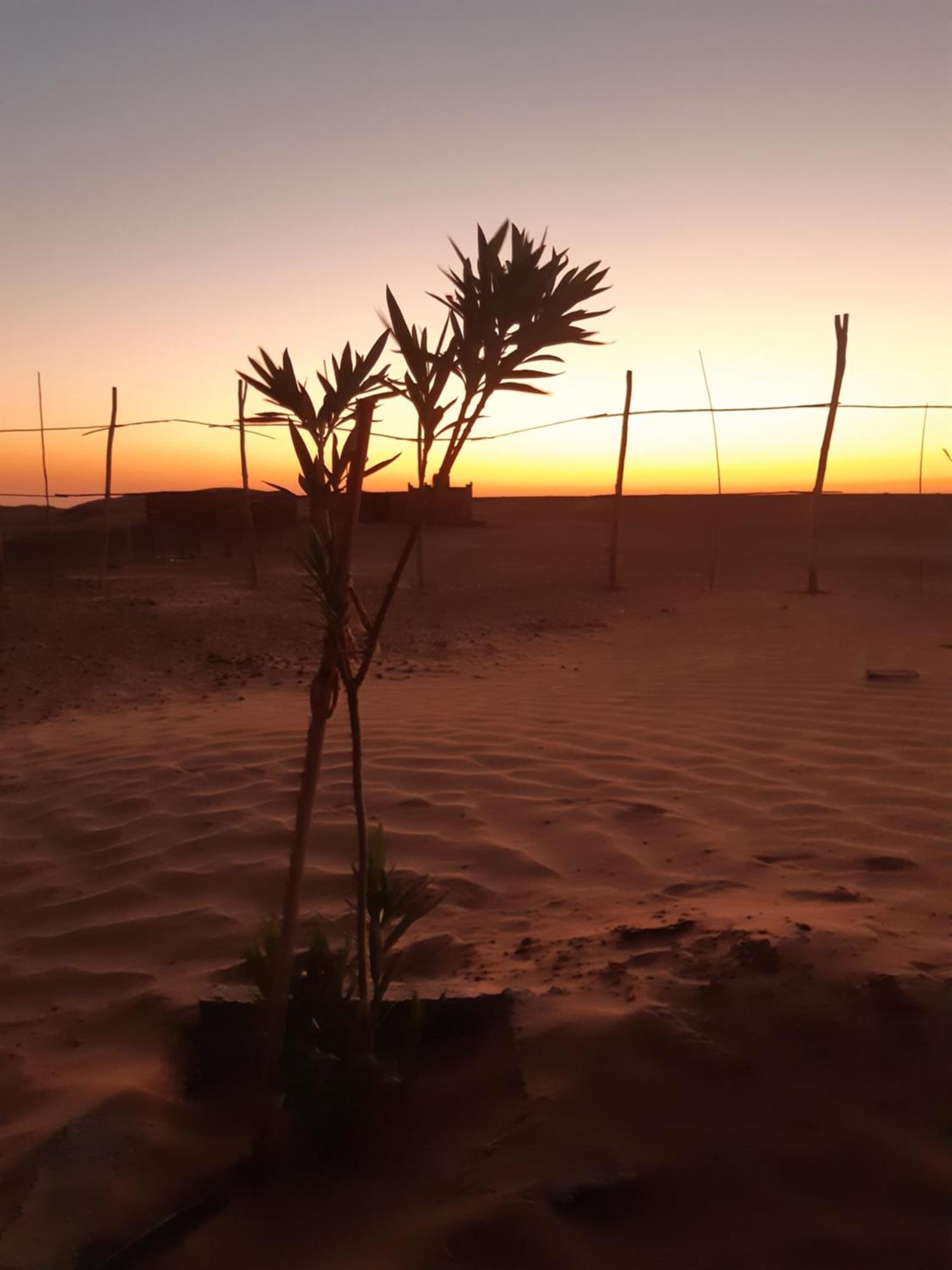 Sahara Peace Camp Hotel Zagora Ngoại thất bức ảnh